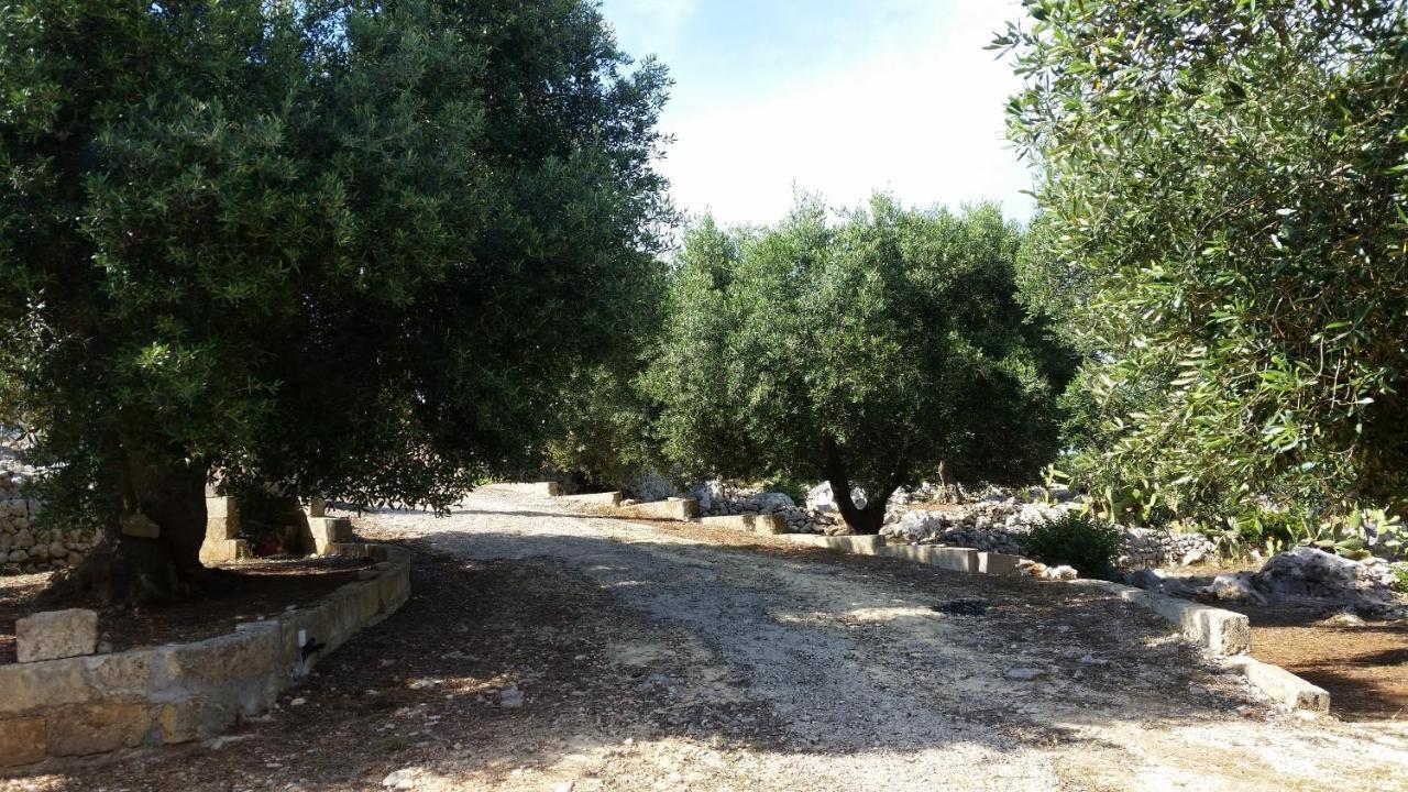 Casa Morena أليسانو المظهر الخارجي الصورة