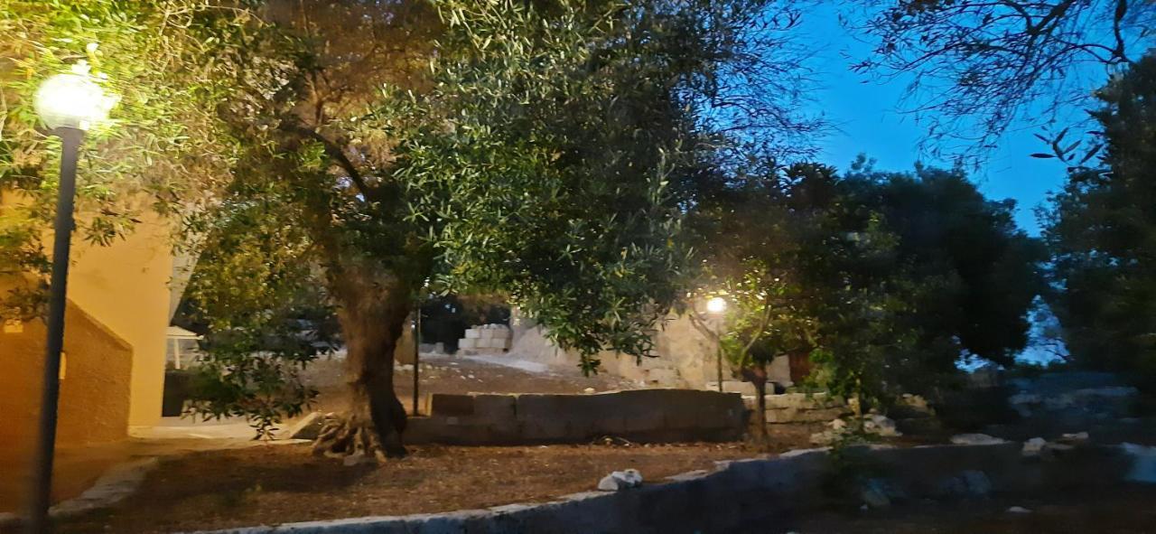 Casa Morena أليسانو المظهر الخارجي الصورة